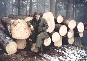 Starkholzbloche